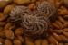Ricci di mandorla aromatizzati al cacao